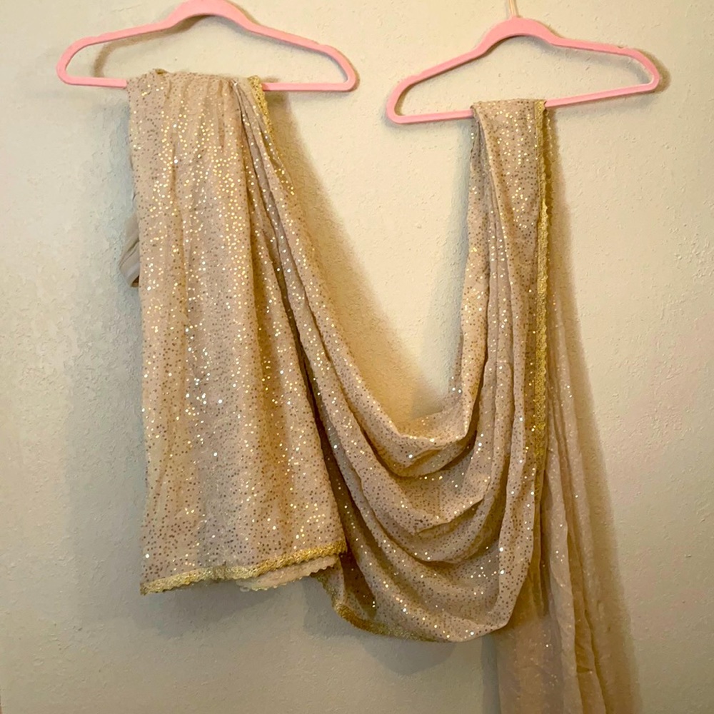 Prestitched champagne saree